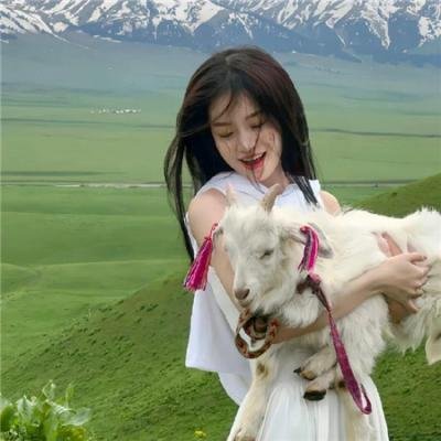贪婪四重奏 海报